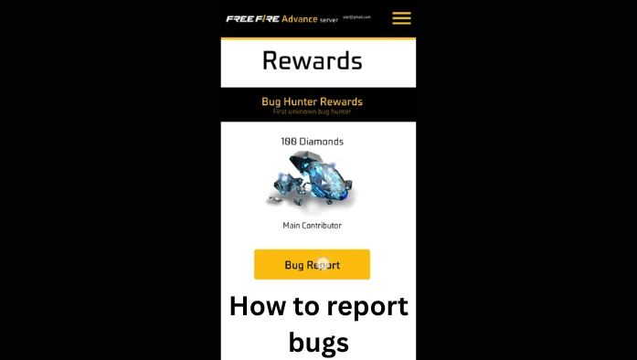 How to report bugs